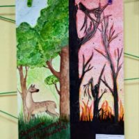 IMG_20210521_103818_