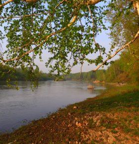 Волшебный отблеск солнца