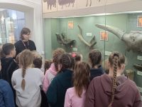 WhatsApp Image 2025-03-26 at 18.57.33